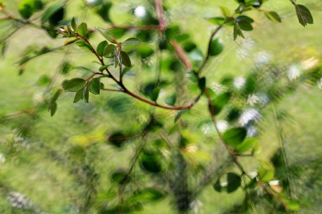 20110409-044-w960