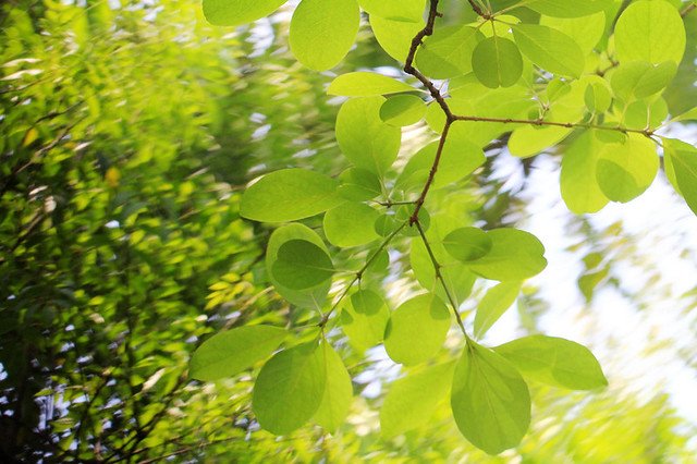 20110409-059-w960