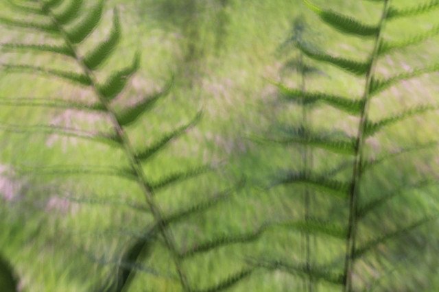 20110409-046-w960