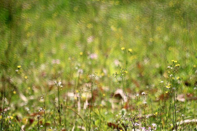 20110409-007-w960