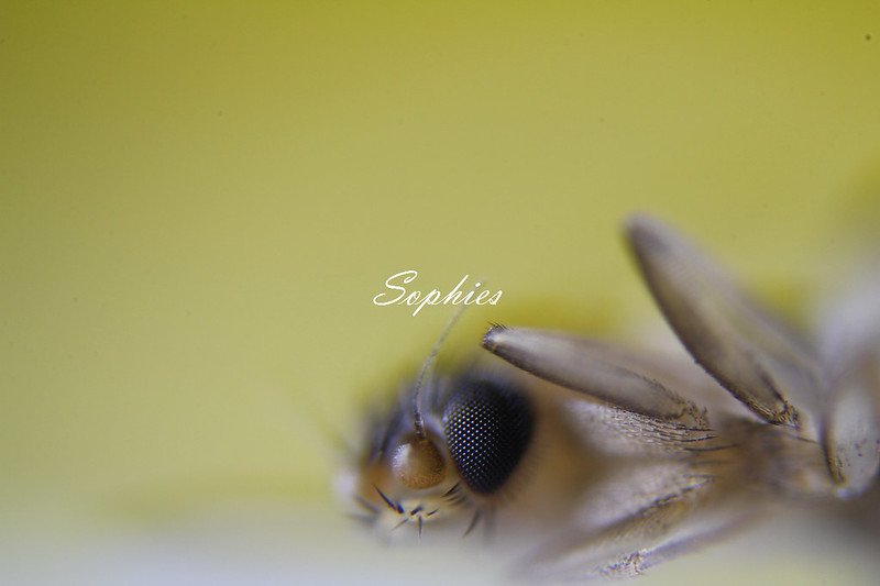 20120616-01-w1280