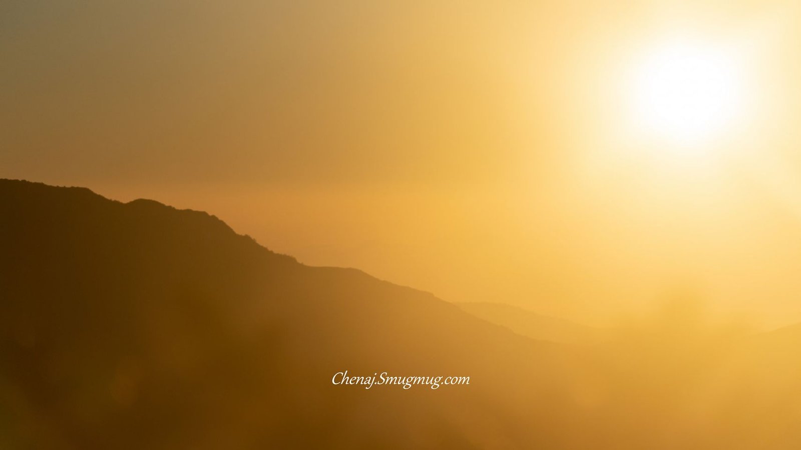 居家上班第33天