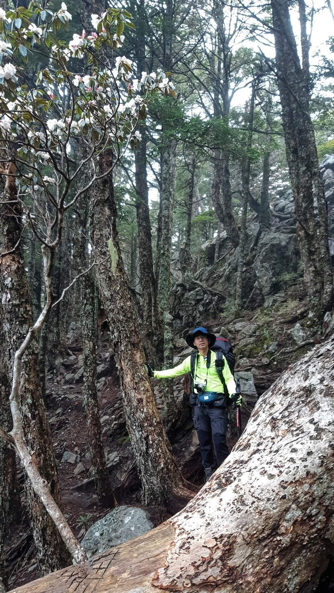 就不能單單純純爬山嗎