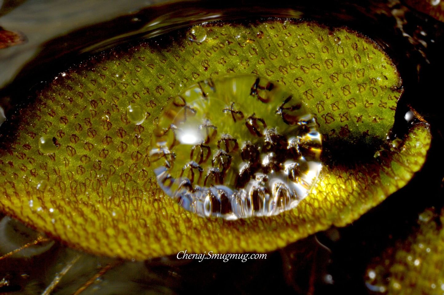 水滴也是會為此感到刺痛