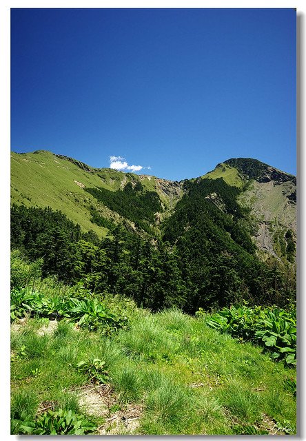 20070630P2-056_f-w960.jpg