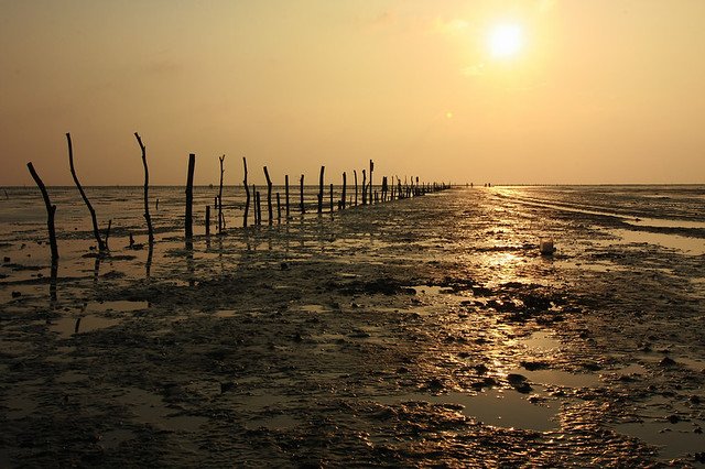 20090516-465-960