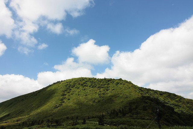 20090501-337-960
