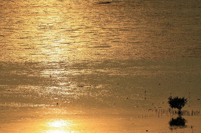 20090616-006-960