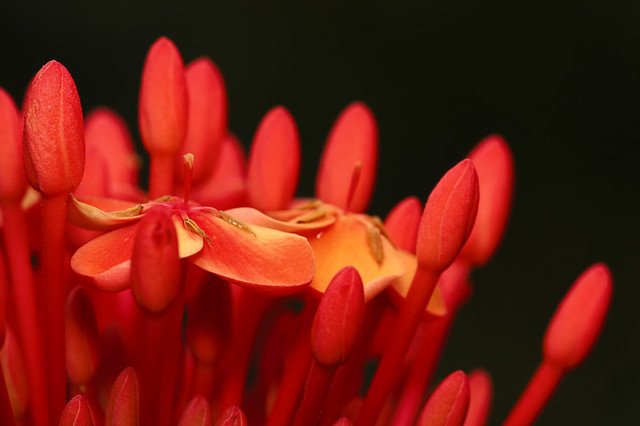 20090802-047-960