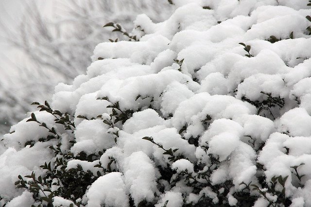 20110120-092-w960.jpg