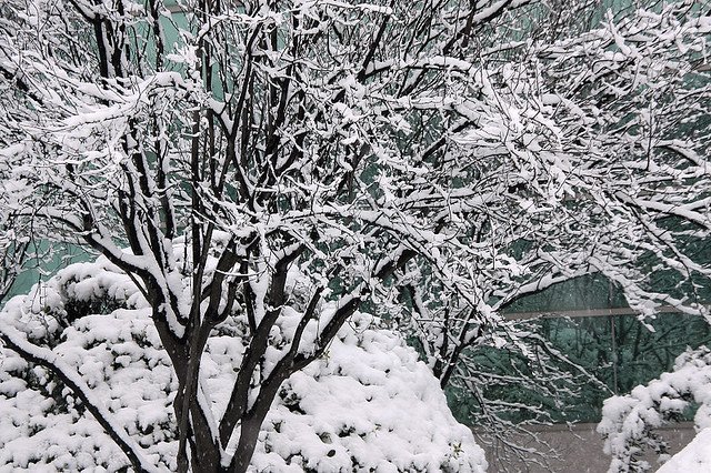 20110120-093-w960.jpg