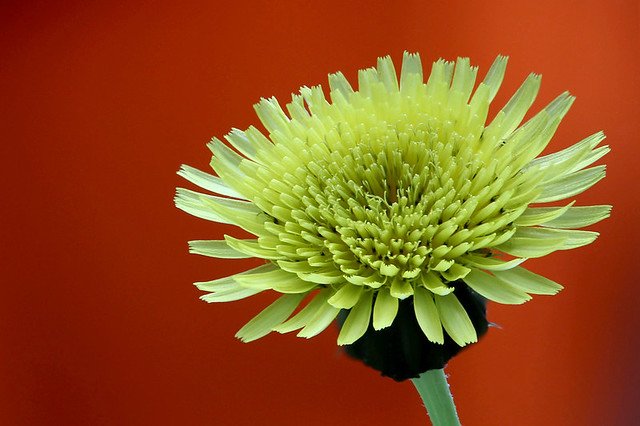 20110219-001-w960.jpg