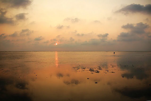 20100803-遠方的地平線