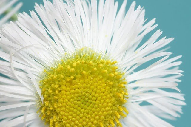 20100430- 聚焦堆疊 技術的作品7