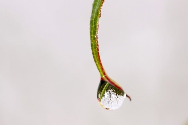 20090322-水滴的內心深處