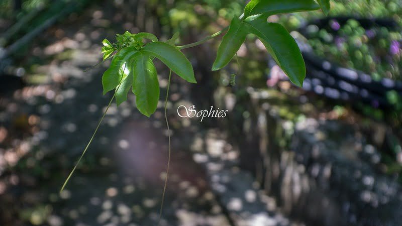 保持一生友誼的最好方法