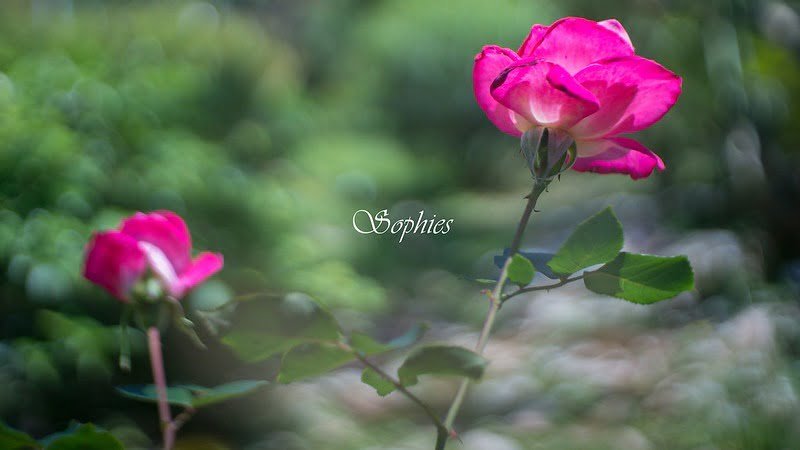 我們用不同的雨具