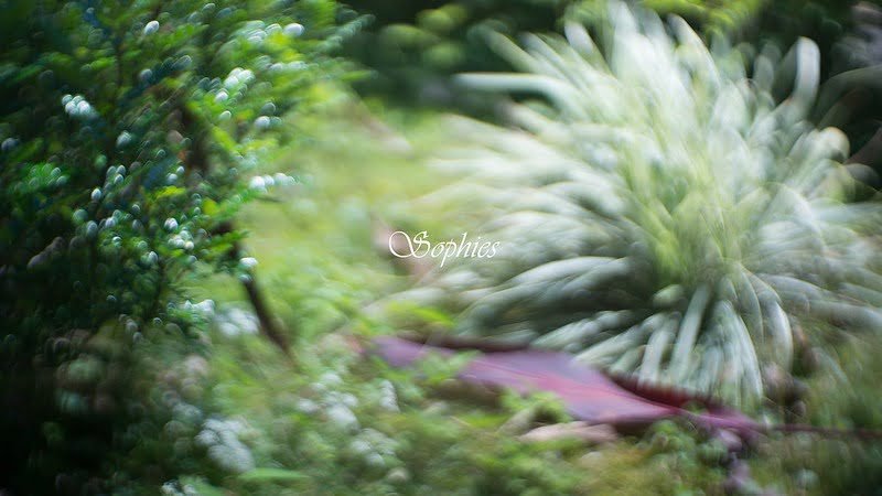 你從來就沒有過