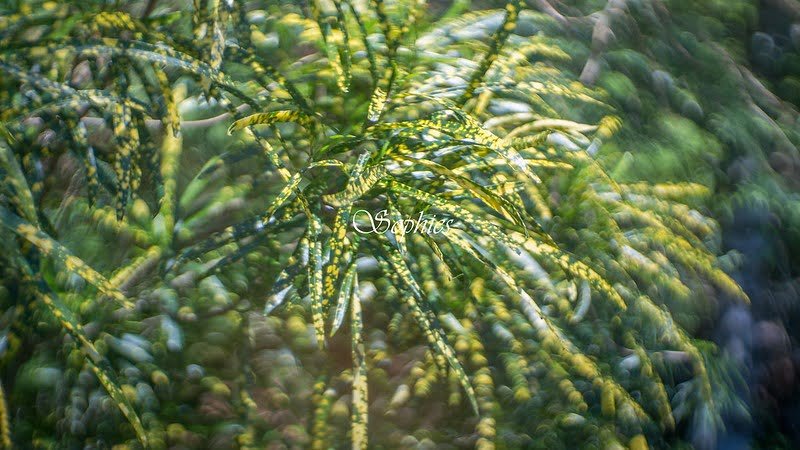 想念與懷念不同