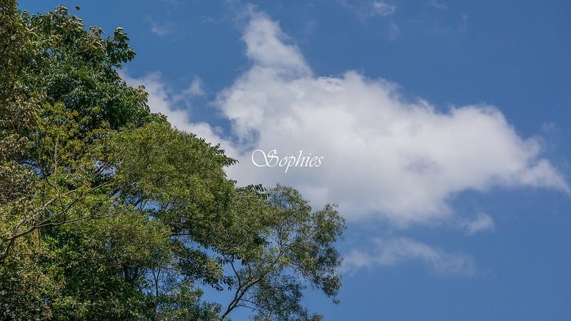 白雲的灰燼是雨