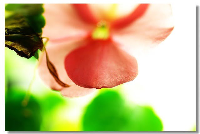 20070407-家居社區-旋轉木馬