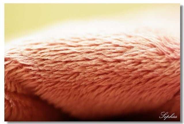 20070403-阿福的靜物拍