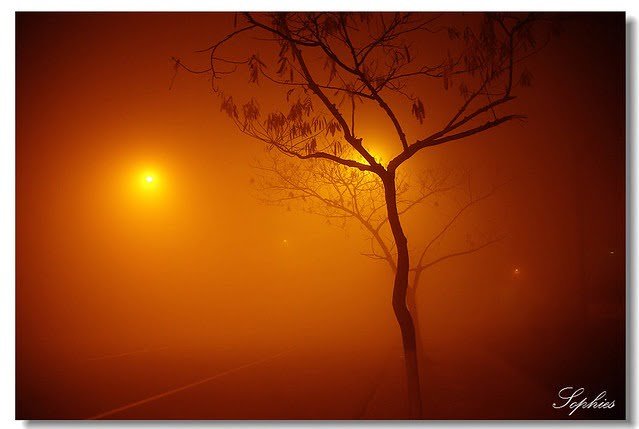 20080108-大霧之夜