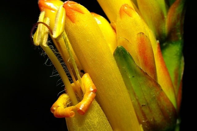 20080607-植物園其它
