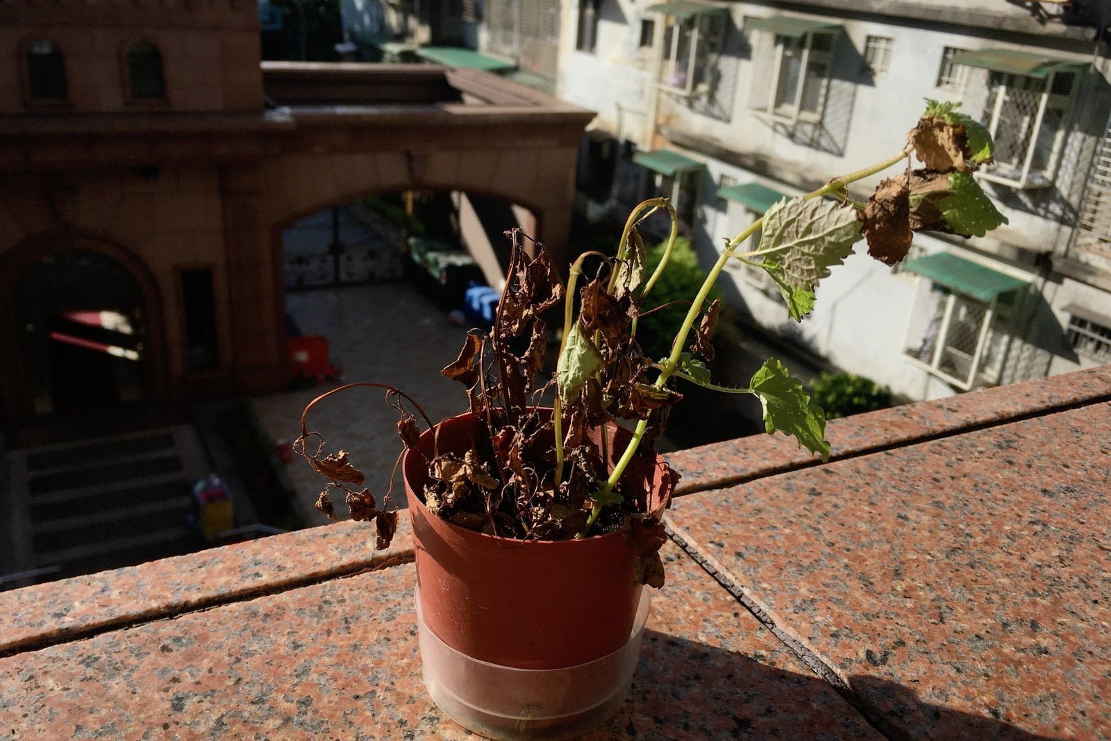 卻已經與彼此無關