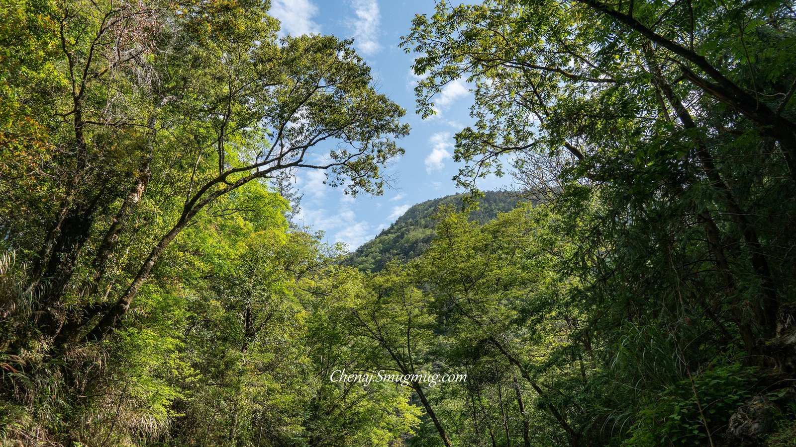 20200502單攻志佳陽大山 Part 4 營地生活