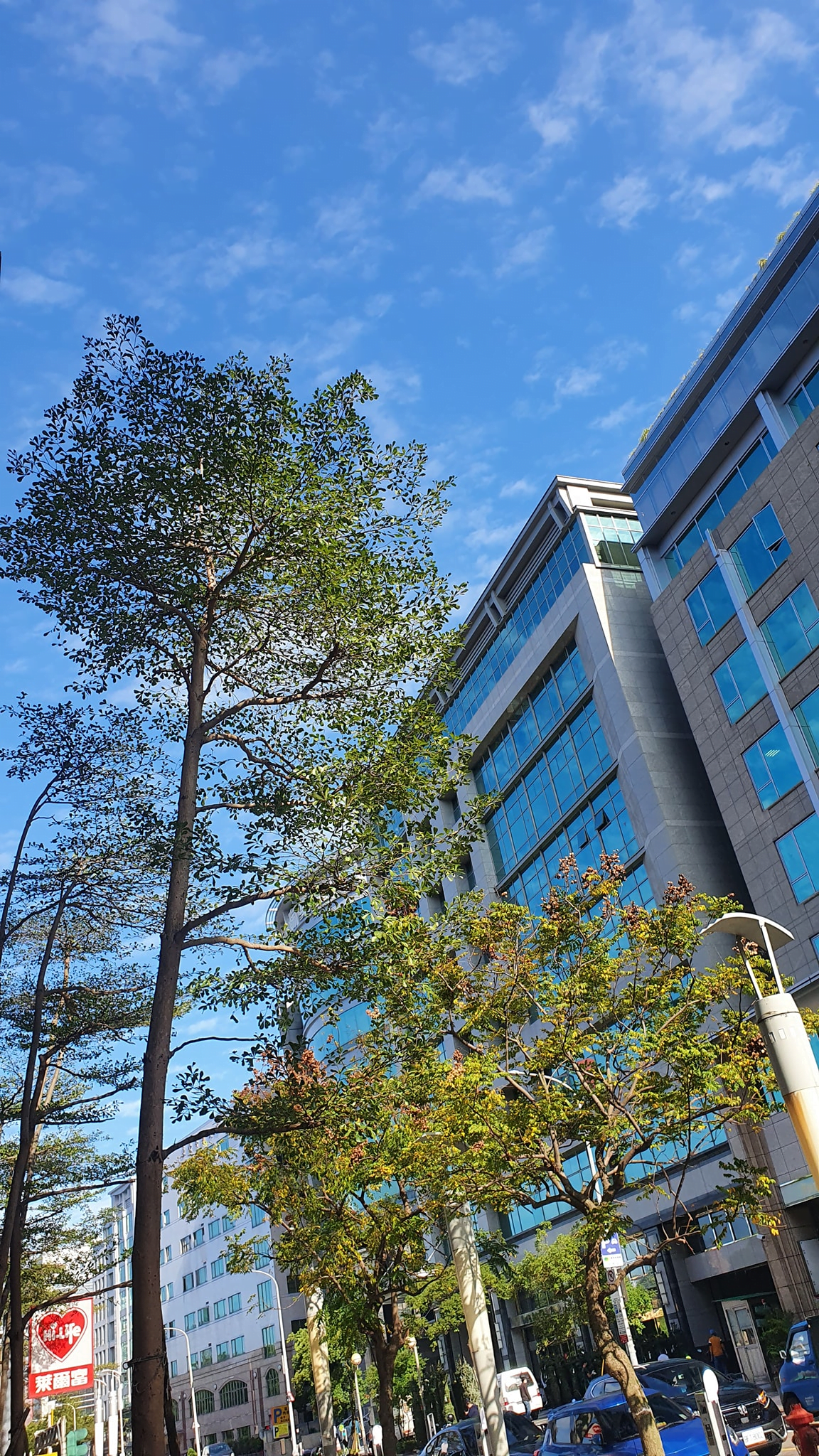 今天天空的那種藍