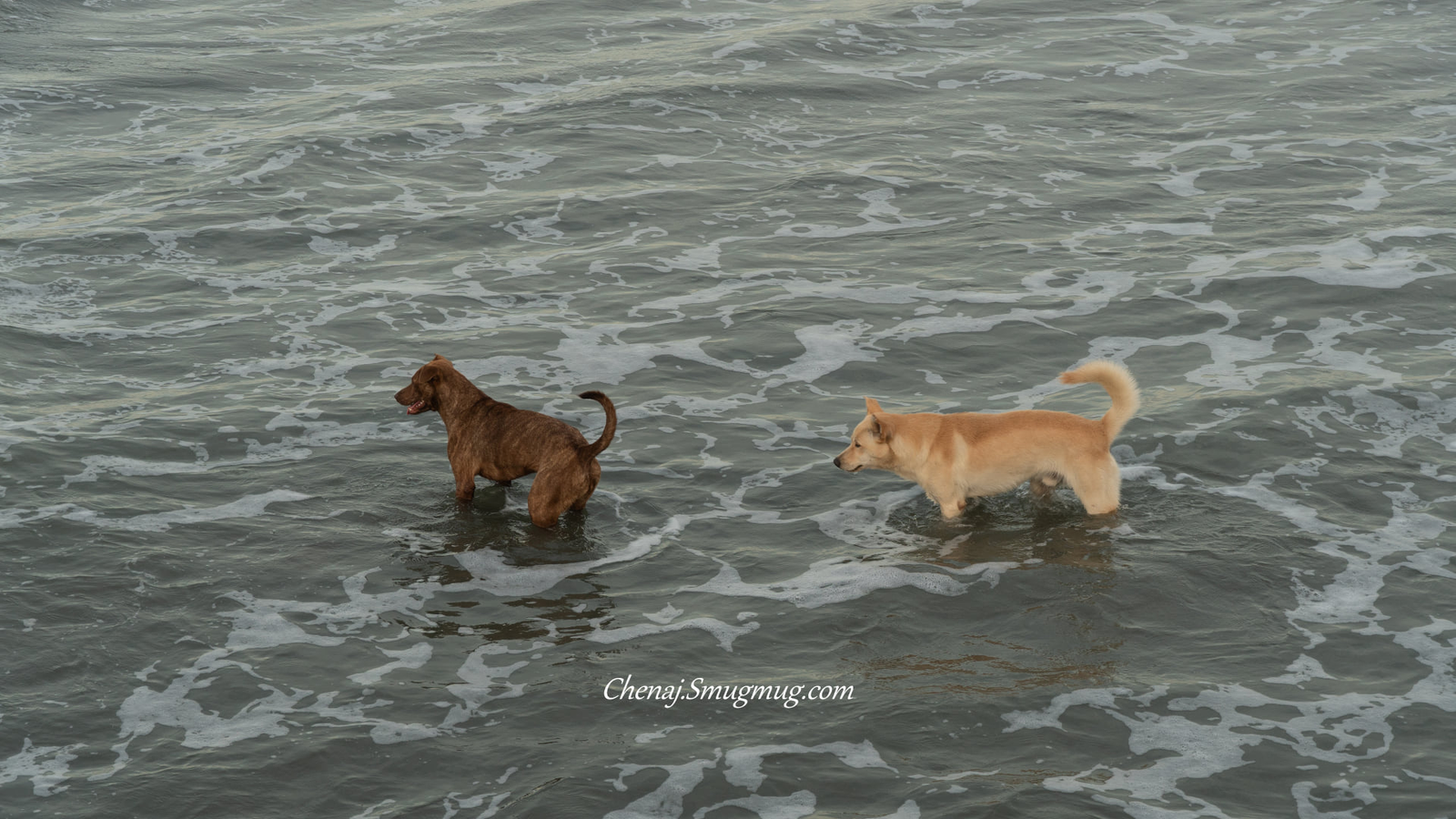 那我們就在一起吧