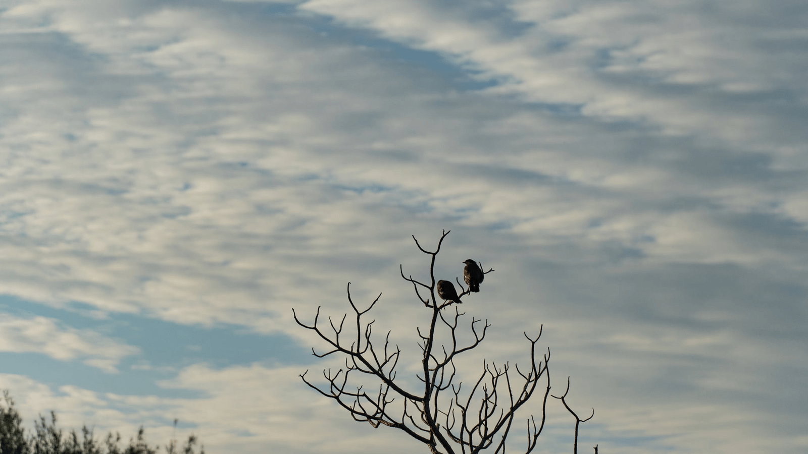 攝影師阿北說了算