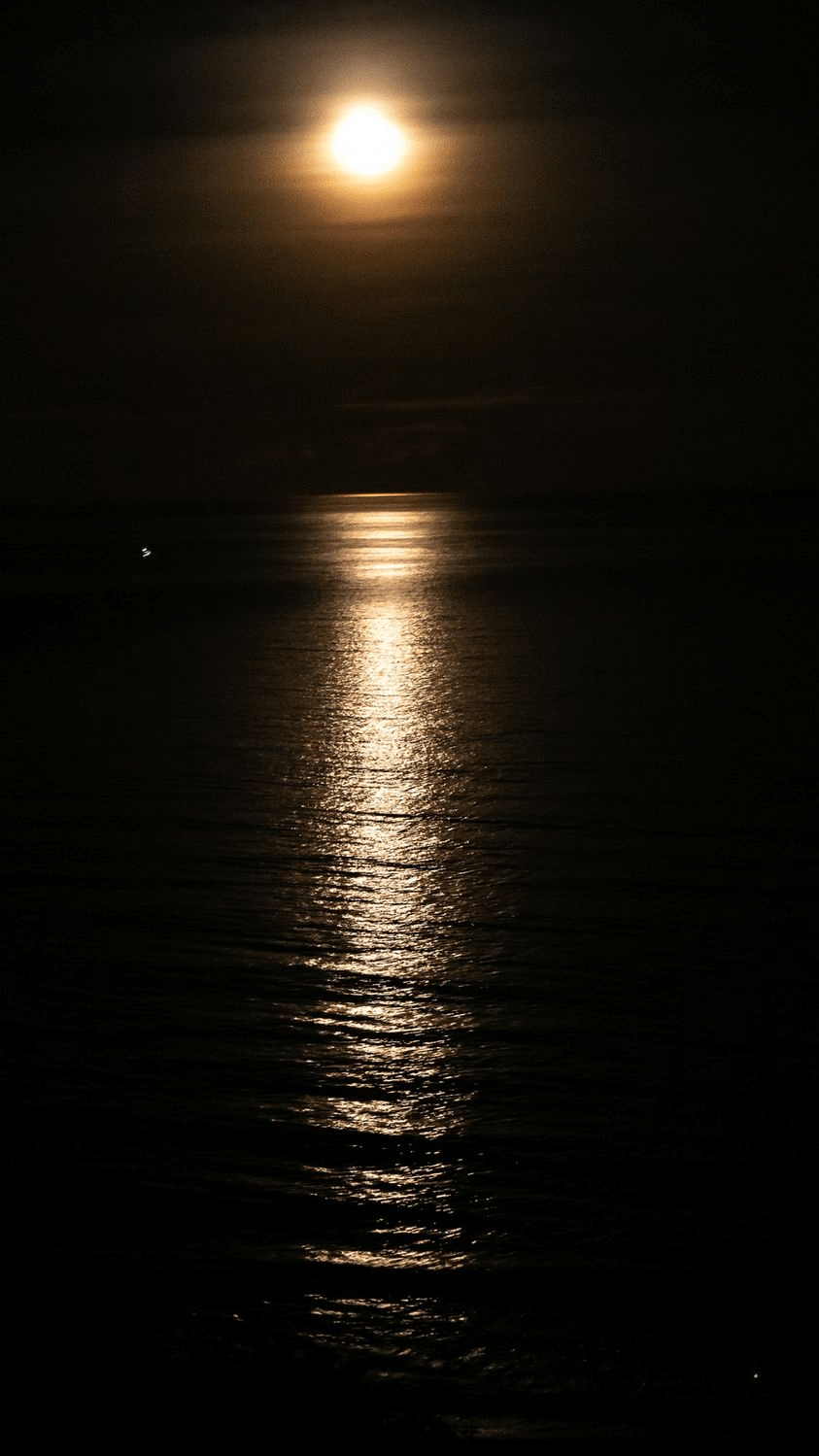 南臺灣之旅-月光海