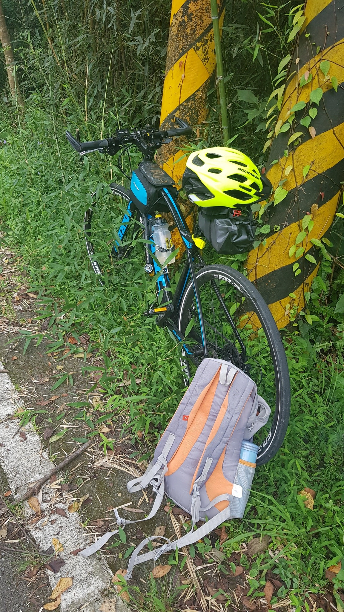 一路上的蟬聲都在恥笑我