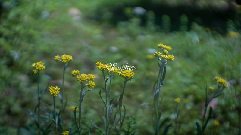 每一次愛的練習