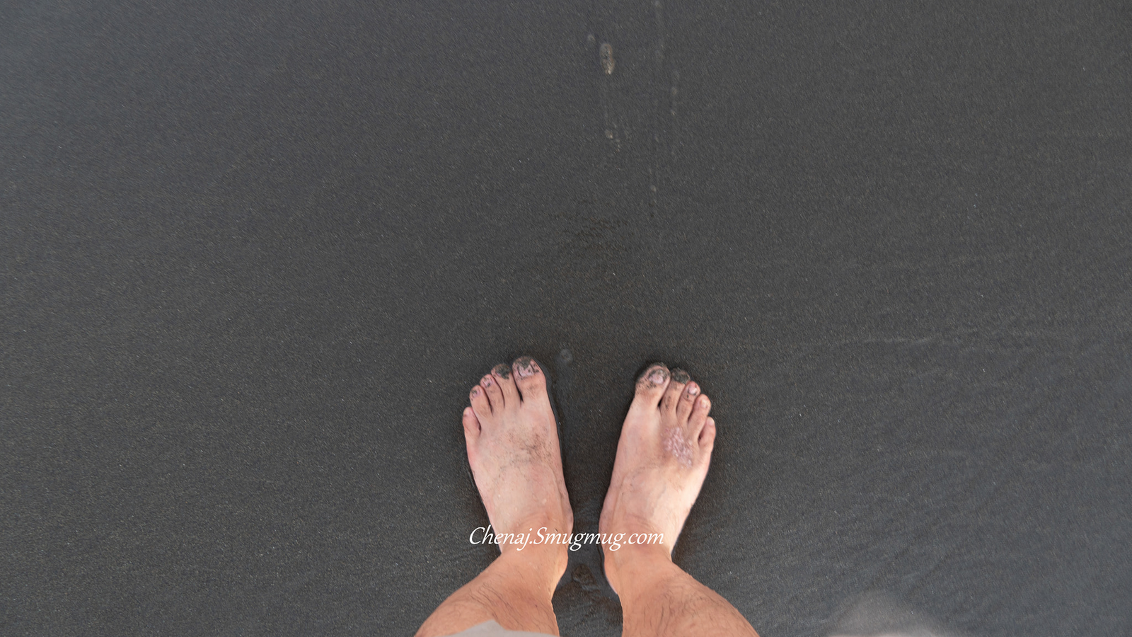 花若盛開，蝴蝶自來