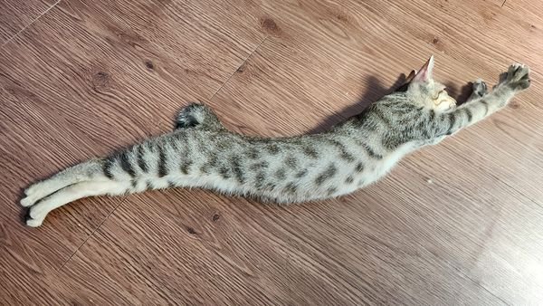 這張圖片的 alt 屬性值為空，它的檔案名稱為 454002448_3362301360737934_191448127642077232_n-1.jpg