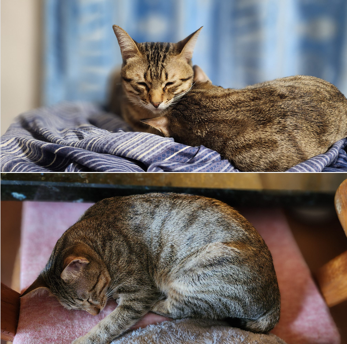 想相信這個世界