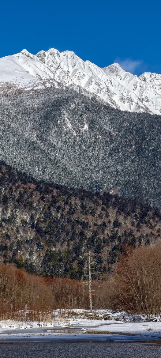 是不是應該買台烘腳機呢