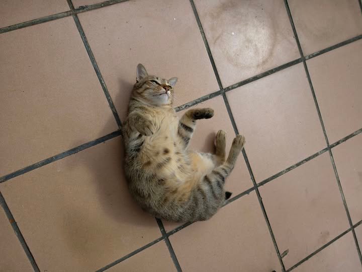 習慣性負面思考