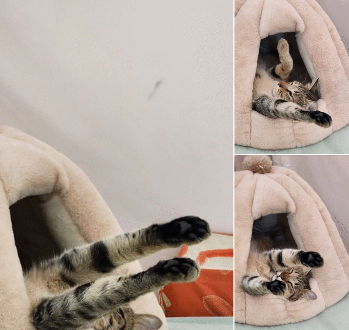 無有恐懼大概就是這樣