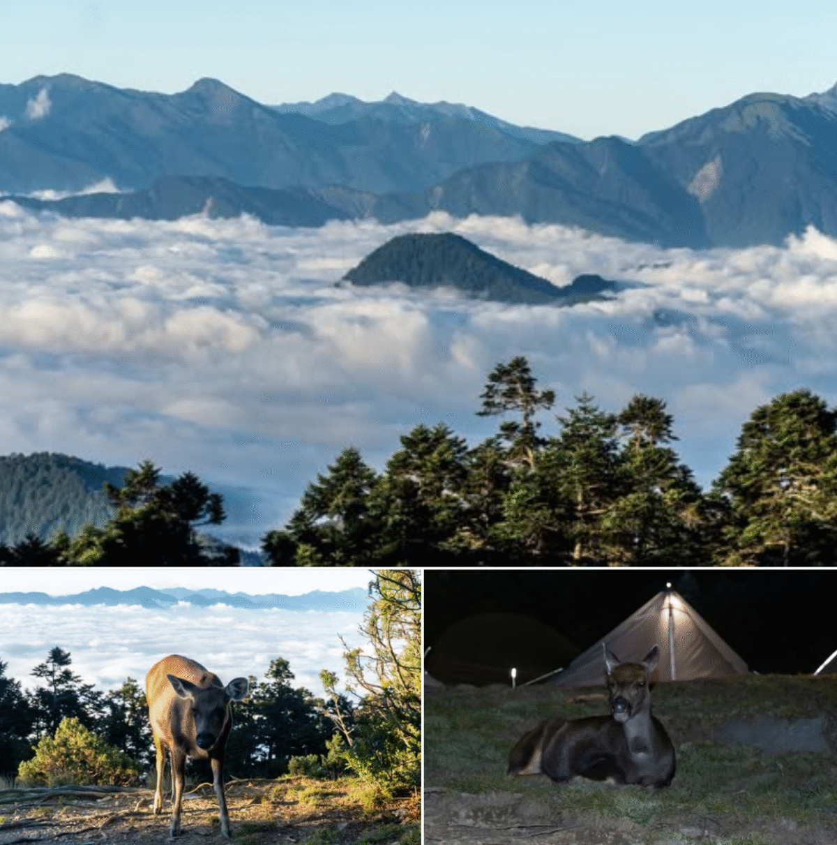 20251009第二次干卓萬